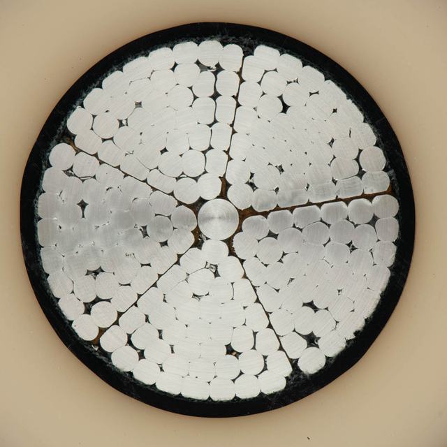 Xpletie derrentiant Meninger Beninger MenififuroPIOFORIOFORIOIO1 WERMASIOFRAOTIOFTIOFTIOFTIOFTIOFTIOFTIOFTIOFTIOFTIORMOOTENTORDOTETS-ийн зэсийн механик дамжуулагч толботой гаридэгдээгүй